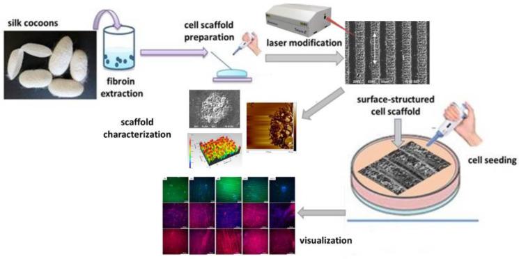 https://cdn.ncbi.nlm.nih.gov/pmc/blobs/9ef6/9269134/2ecdbc2dba9e/polymers-14-02584-g001.jpg