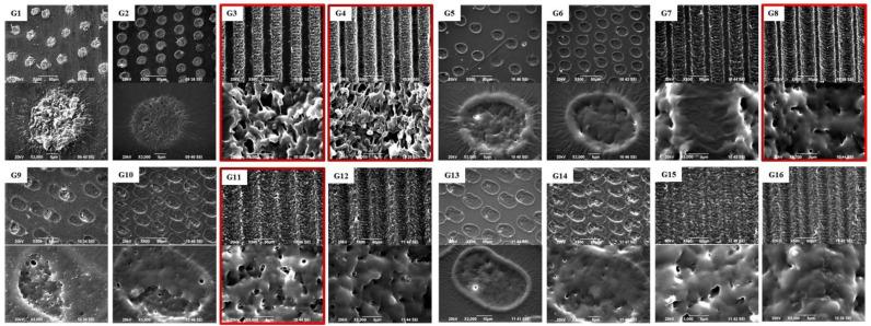 https://cdn.ncbi.nlm.nih.gov/pmc/blobs/9ef6/9269134/d2e06c7868de/polymers-14-02584-g002.jpg