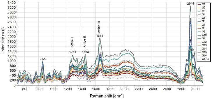 https://cdn.ncbi.nlm.nih.gov/pmc/blobs/9ef6/9269134/e9fd79c6ec52/polymers-14-02584-g007.jpg