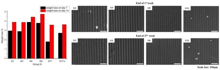 https://cdn.ncbi.nlm.nih.gov/pmc/blobs/9ef6/9269134/fcc490f0da42/polymers-14-02584-g010.jpg