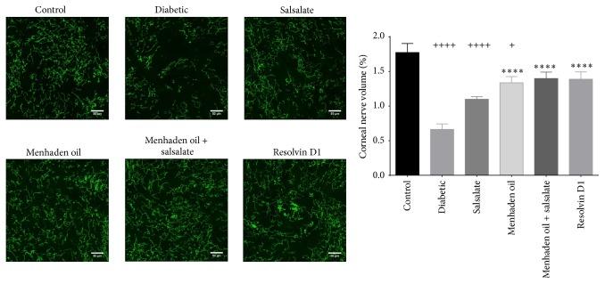 https://cdn.ncbi.nlm.nih.gov/pmc/blobs/9ef7/5059581/3a6c32c606a2/JNME2016-5905891.004.jpg