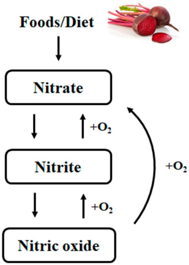 https://cdn.ncbi.nlm.nih.gov/pmc/blobs/9ef8/8229785/3a6c31101cd7/foods-10-01314-g001.jpg