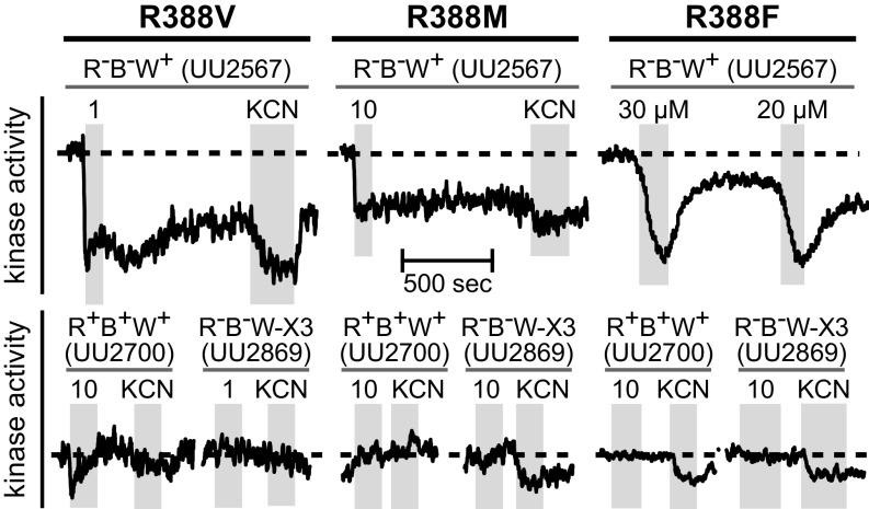 https://cdn.ncbi.nlm.nih.gov/pmc/blobs/9ef9/6681711/5c8d152d1a1d/pnas.1902521116fig04.jpg