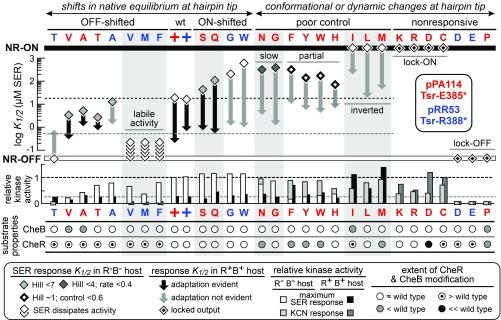 https://cdn.ncbi.nlm.nih.gov/pmc/blobs/9ef9/6681711/b8a4b604b904/pnas.1902521116fig02.jpg