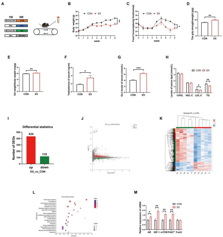 https://cdn.ncbi.nlm.nih.gov/pmc/blobs/9efa/9811821/1609aac15363/fmicb-13-1049469-g001.jpg