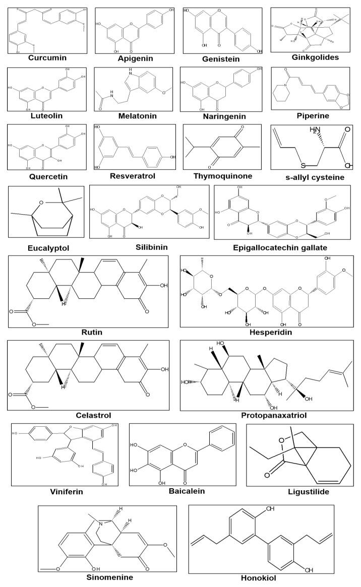 https://cdn.ncbi.nlm.nih.gov/pmc/blobs/9efb/7459826/ae3f981787b0/biomedicines-08-00284-g001.jpg