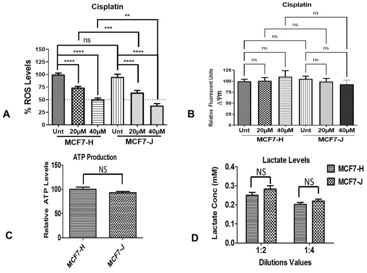 https://cdn.ncbi.nlm.nih.gov/pmc/blobs/9efc/9224519/703151f4fc2b/ijms-23-06687-g002.jpg