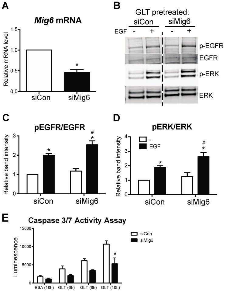 https://cdn.ncbi.nlm.nih.gov/pmc/blobs/9efd/10222246/ddadb10a349c/metabolites-13-00627-g008.jpg