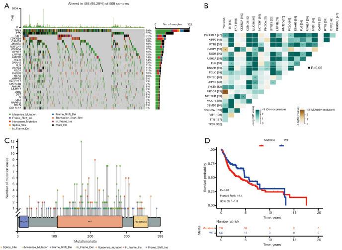 https://cdn.ncbi.nlm.nih.gov/pmc/blobs/9f01/10774070/cad50e8665cb/tcr-12-12-3604-f1.jpg
