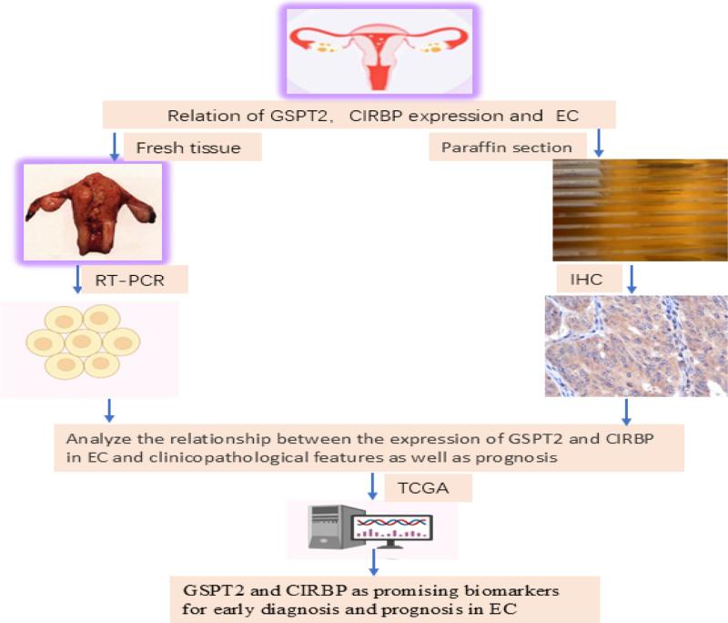 https://cdn.ncbi.nlm.nih.gov/pmc/blobs/9f01/12401262/e9fde21f1482/medi-104-e43627-g001.jpg