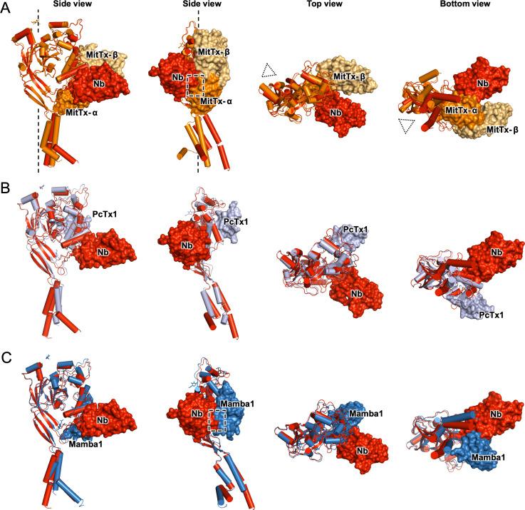 https://cdn.ncbi.nlm.nih.gov/pmc/blobs/9f01/8318589/32c43f056dd9/elife-67115-fig4.jpg