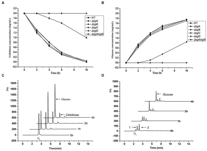 https://cdn.ncbi.nlm.nih.gov/pmc/blobs/9f02/5288383/bf9cc396d812/fmicb-08-00140-g003.jpg