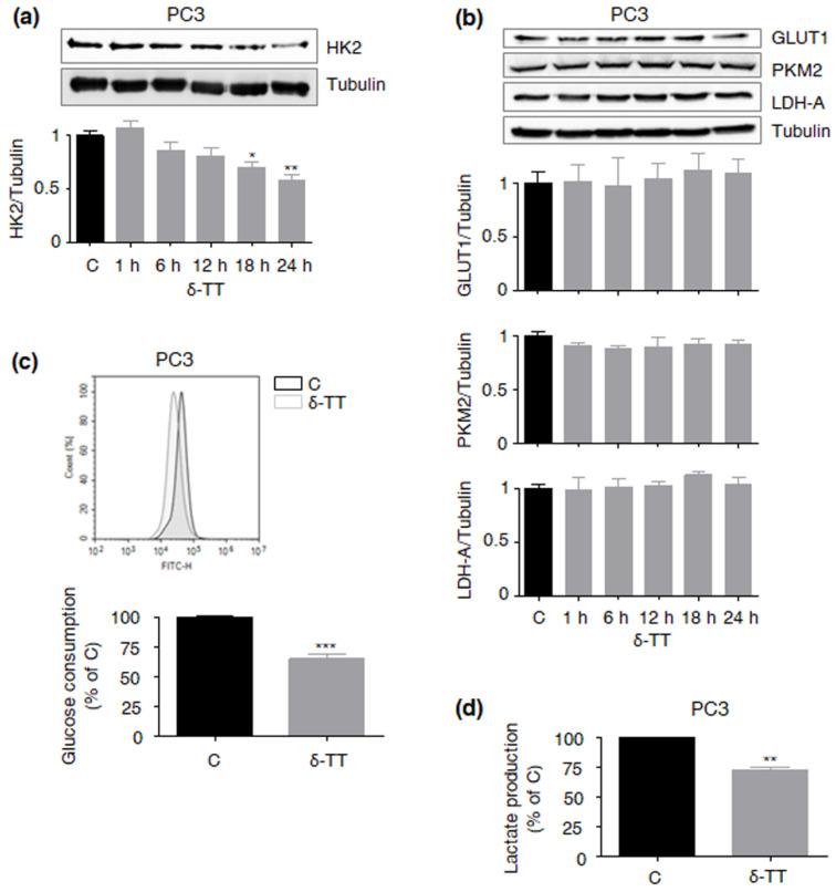 https://cdn.ncbi.nlm.nih.gov/pmc/blobs/9f02/9103956/4c02caa13097/ijms-23-05269-g004.jpg