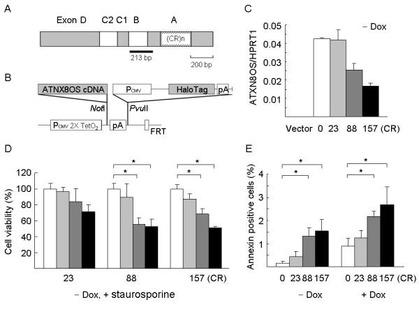 https://cdn.ncbi.nlm.nih.gov/pmc/blobs/9f03/2647542/8553dd3eb779/1471-2199-10-9-1.jpg