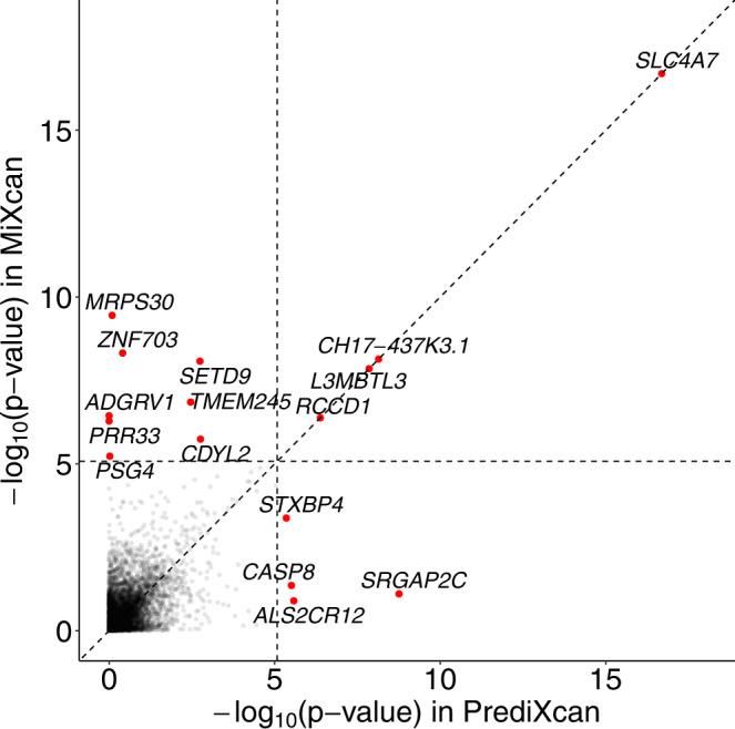 https://cdn.ncbi.nlm.nih.gov/pmc/blobs/9f04/9871010/c98700b485fb/41467_2023_35888_Fig6_HTML.jpg