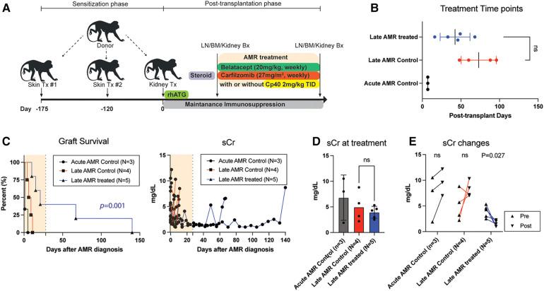 https://cdn.ncbi.nlm.nih.gov/pmc/blobs/9f06/11235304/4e582a7c905a/frtra-02-1230393-g001.jpg
