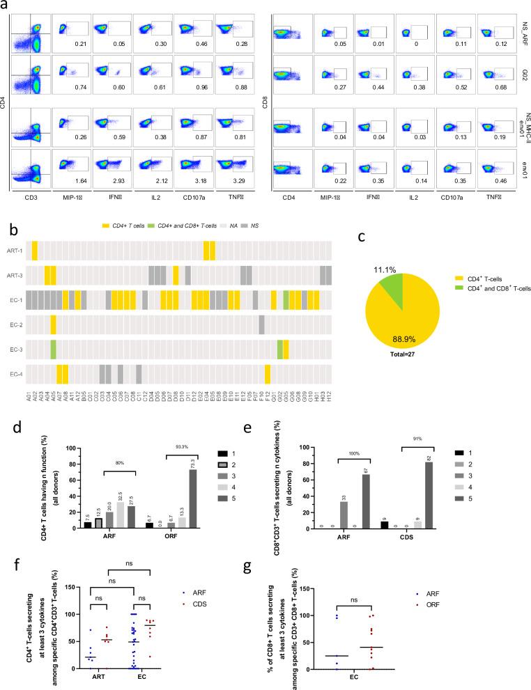 https://cdn.ncbi.nlm.nih.gov/pmc/blobs/9f06/11836469/1d9d7b28e6d9/41467_2025_56773_Fig4_HTML.jpg