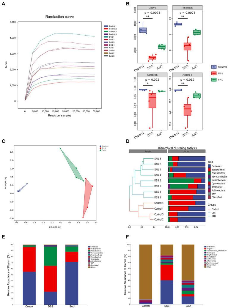 https://cdn.ncbi.nlm.nih.gov/pmc/blobs/9f08/9868758/6b7177bf85af/fmicb-13-1084257-g005.jpg