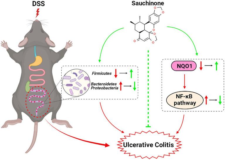 https://cdn.ncbi.nlm.nih.gov/pmc/blobs/9f08/9868758/94910b8f1dd9/fmicb-13-1084257-g007.jpg