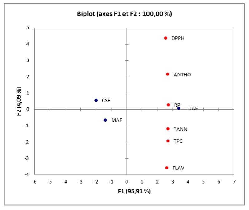 https://cdn.ncbi.nlm.nih.gov/pmc/blobs/9f0e/6680771/a7b533c665f3/antioxidants-08-00205-g002.jpg