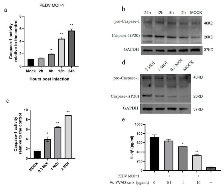 https://cdn.ncbi.nlm.nih.gov/pmc/blobs/9f10/11680147/95ffeba18745/vetsci-11-00643-g002.jpg
