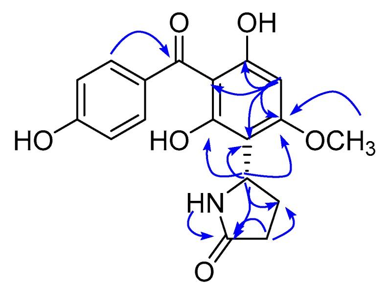 https://cdn.ncbi.nlm.nih.gov/pmc/blobs/9f11/6630431/2069377ab841/molecules-24-02246-g002.jpg