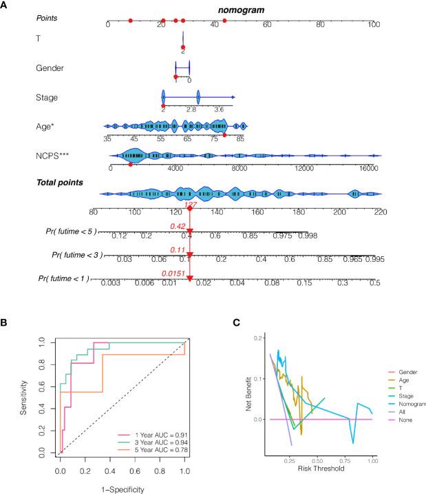 https://cdn.ncbi.nlm.nih.gov/pmc/blobs/9f11/8886618/5251f4c3032a/fimmu-13-847624-g006.jpg