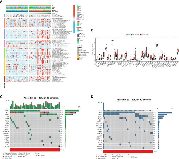 https://cdn.ncbi.nlm.nih.gov/pmc/blobs/9f11/8886618/8407ab18d06d/fimmu-13-847624-g004.jpg