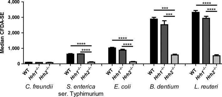 https://cdn.ncbi.nlm.nih.gov/pmc/blobs/9f12/6813435/b63ee12854ce/MBO3-8-e908-g002.jpg