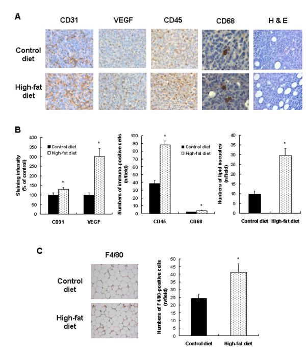https://cdn.ncbi.nlm.nih.gov/pmc/blobs/9f13/3236342/5ac5214d5304/bcr2927-3.jpg