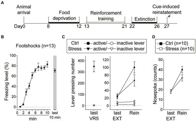 https://cdn.ncbi.nlm.nih.gov/pmc/blobs/9f19/10538645/5cad49f09023/fnbeh-17-1252868-g008.jpg