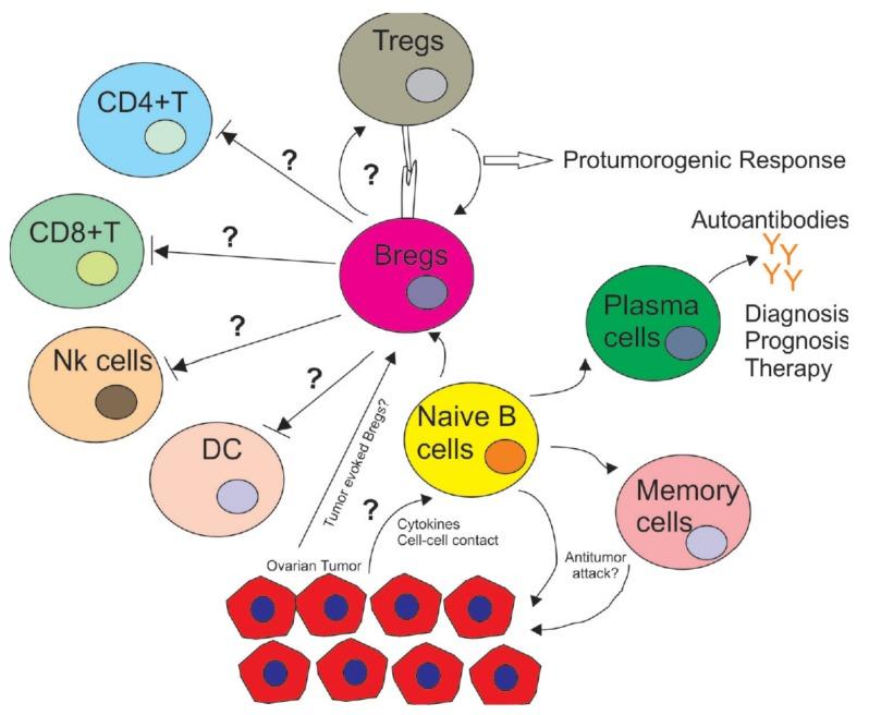 https://cdn.ncbi.nlm.nih.gov/pmc/blobs/9f1b/6678944/23ca42da43a4/cancers-11-00894-g001.jpg