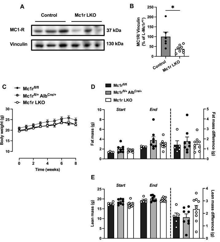 https://cdn.ncbi.nlm.nih.gov/pmc/blobs/9f1d/10368426/3ce05cd7c9f2/elife-84782-fig1-figsupp3.jpg