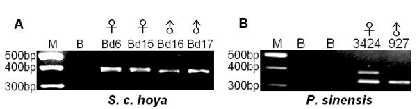 https://cdn.ncbi.nlm.nih.gov/pmc/blobs/9f1e/2259332/df24038cec23/1472-6750-8-12-2.jpg