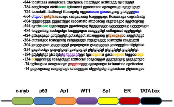 https://cdn.ncbi.nlm.nih.gov/pmc/blobs/9f1e/2994381/4c755d1a1bc1/1423-0127-17-S1-S28-1.jpg