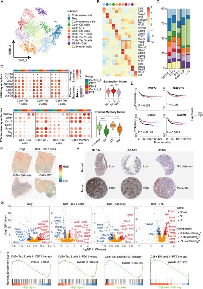 https://cdn.ncbi.nlm.nih.gov/pmc/blobs/9f22/12266622/c1efd6f9ac24/SYB2-19-e70028-g003.jpg