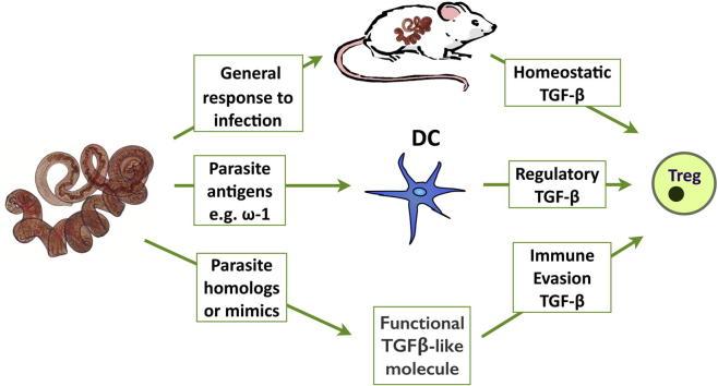 https://cdn.ncbi.nlm.nih.gov/pmc/blobs/9f22/4711336/db6b785b512d/fx1.jpg