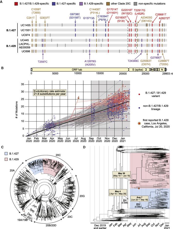 https://cdn.ncbi.nlm.nih.gov/pmc/blobs/9f22/8057738/ba6d60bdc4a8/gr2_lrg.jpg