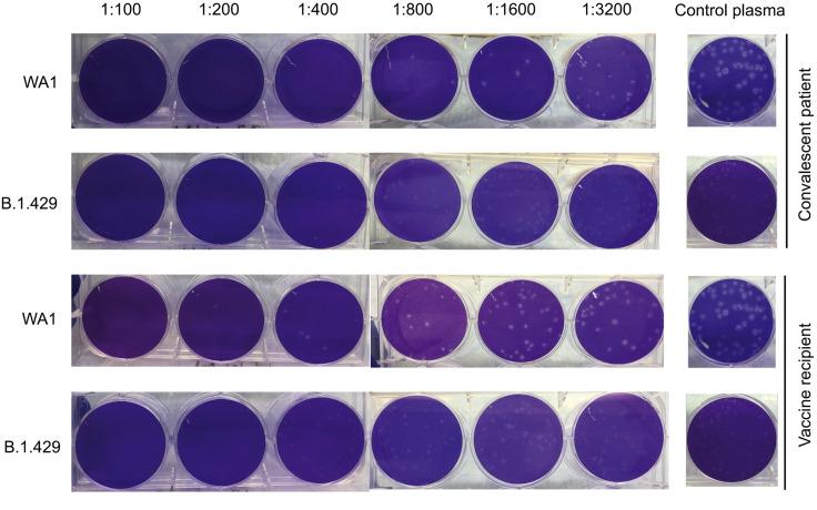 https://cdn.ncbi.nlm.nih.gov/pmc/blobs/9f22/8057738/f32525686798/figs3_lrg.jpg