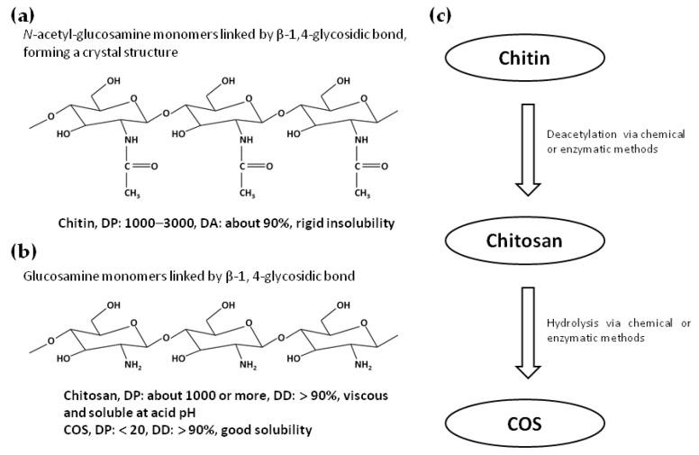 https://cdn.ncbi.nlm.nih.gov/pmc/blobs/9f22/9223384/5a61eea9074b/ijms-23-06761-g001.jpg