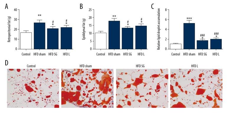 https://cdn.ncbi.nlm.nih.gov/pmc/blobs/9f24/6752093/38d40c19234b/medscimonit-25-6719-g001.jpg