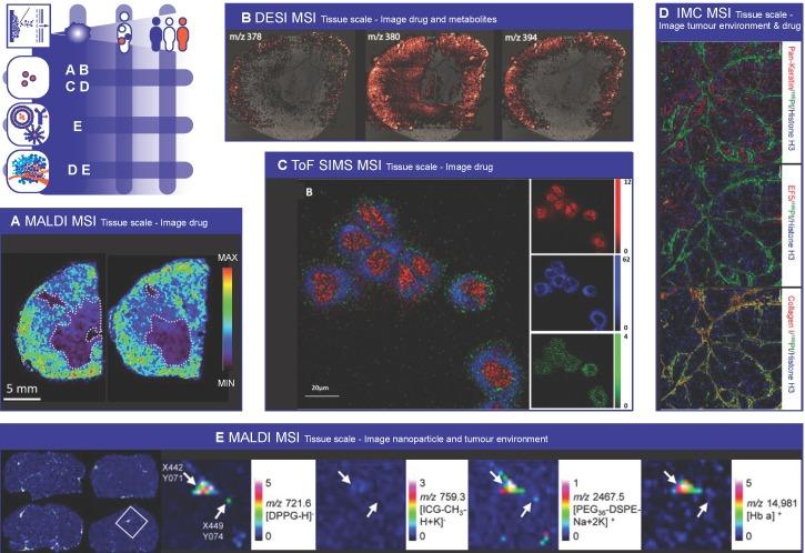 https://cdn.ncbi.nlm.nih.gov/pmc/blobs/9f24/6993242/1dffb10044a0/thnov10p1884g003.jpg