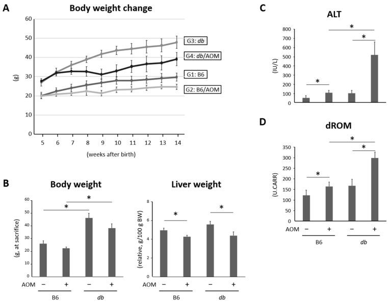 https://cdn.ncbi.nlm.nih.gov/pmc/blobs/9f25/10572168/3cb72ecdcdeb/ijms-24-14581-g001.jpg