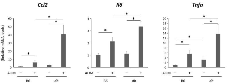 https://cdn.ncbi.nlm.nih.gov/pmc/blobs/9f25/10572168/e17d133f65c0/ijms-24-14581-g004.jpg