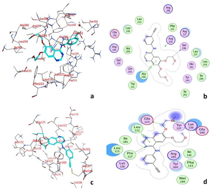 https://cdn.ncbi.nlm.nih.gov/pmc/blobs/9f25/8874853/e3fde6240a0a/molecules-27-01265-g005.jpg