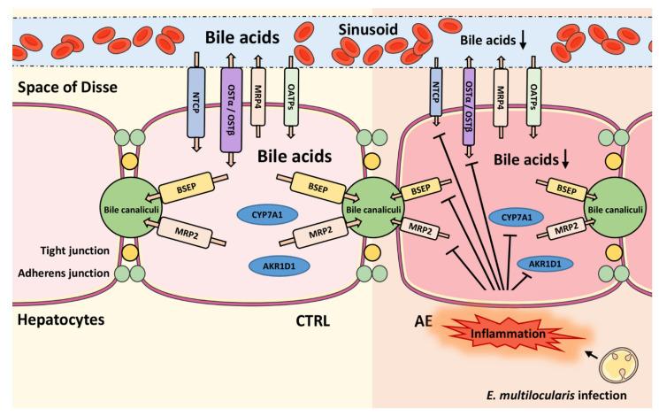 https://cdn.ncbi.nlm.nih.gov/pmc/blobs/9f26/8307106/9510e43efd44/metabolites-11-00442-g005.jpg