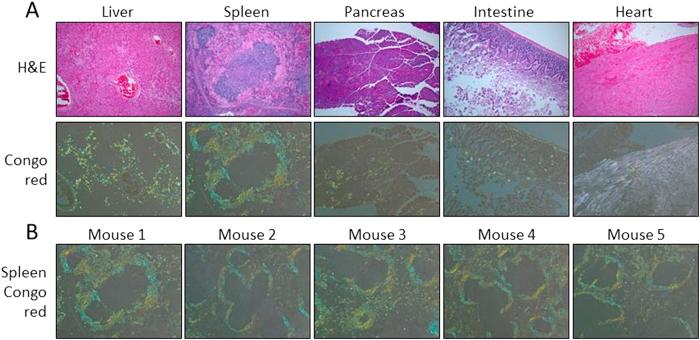 https://cdn.ncbi.nlm.nih.gov/pmc/blobs/9f27/4776142/0b09242dce1b/srep22695-f3.jpg