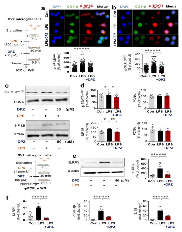 https://cdn.ncbi.nlm.nih.gov/pmc/blobs/9f29/8508964/0aefea0e5267/ijms-22-10637-g004.jpg
