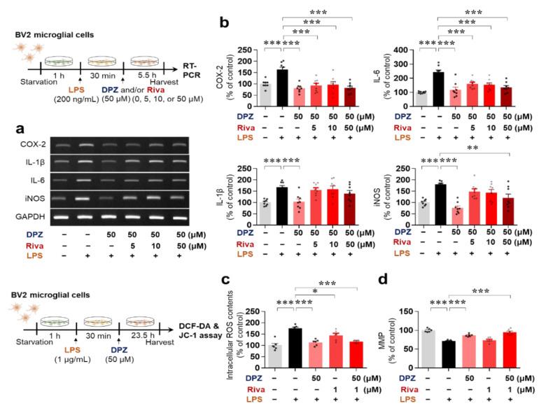 https://cdn.ncbi.nlm.nih.gov/pmc/blobs/9f29/8508964/22e953acade9/ijms-22-10637-g002.jpg