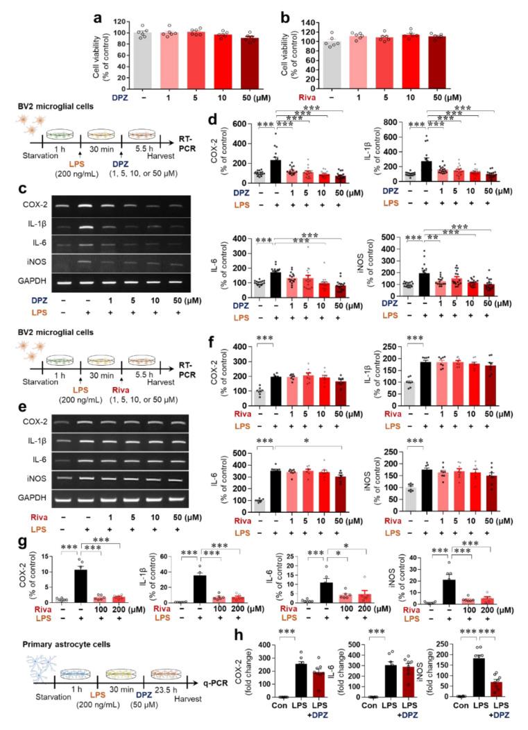https://cdn.ncbi.nlm.nih.gov/pmc/blobs/9f29/8508964/248f6c4eca04/ijms-22-10637-g001.jpg